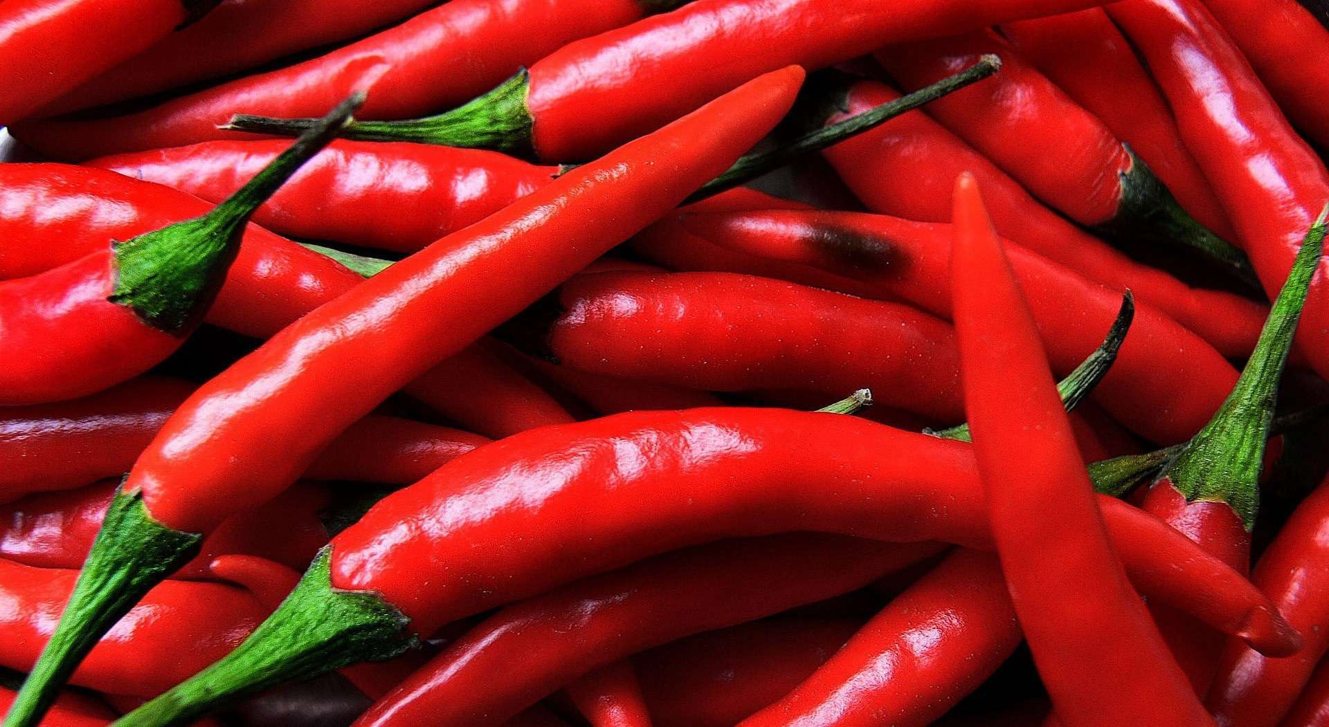 Swinton Chilli Fest – Some Like It Hot | News | Taste of Manchester